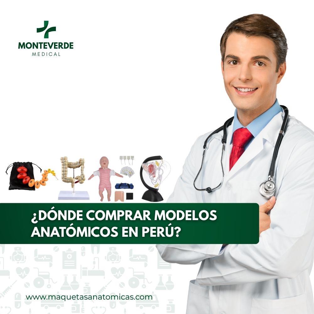 Dónde comprar modelos anatómicos en Perú