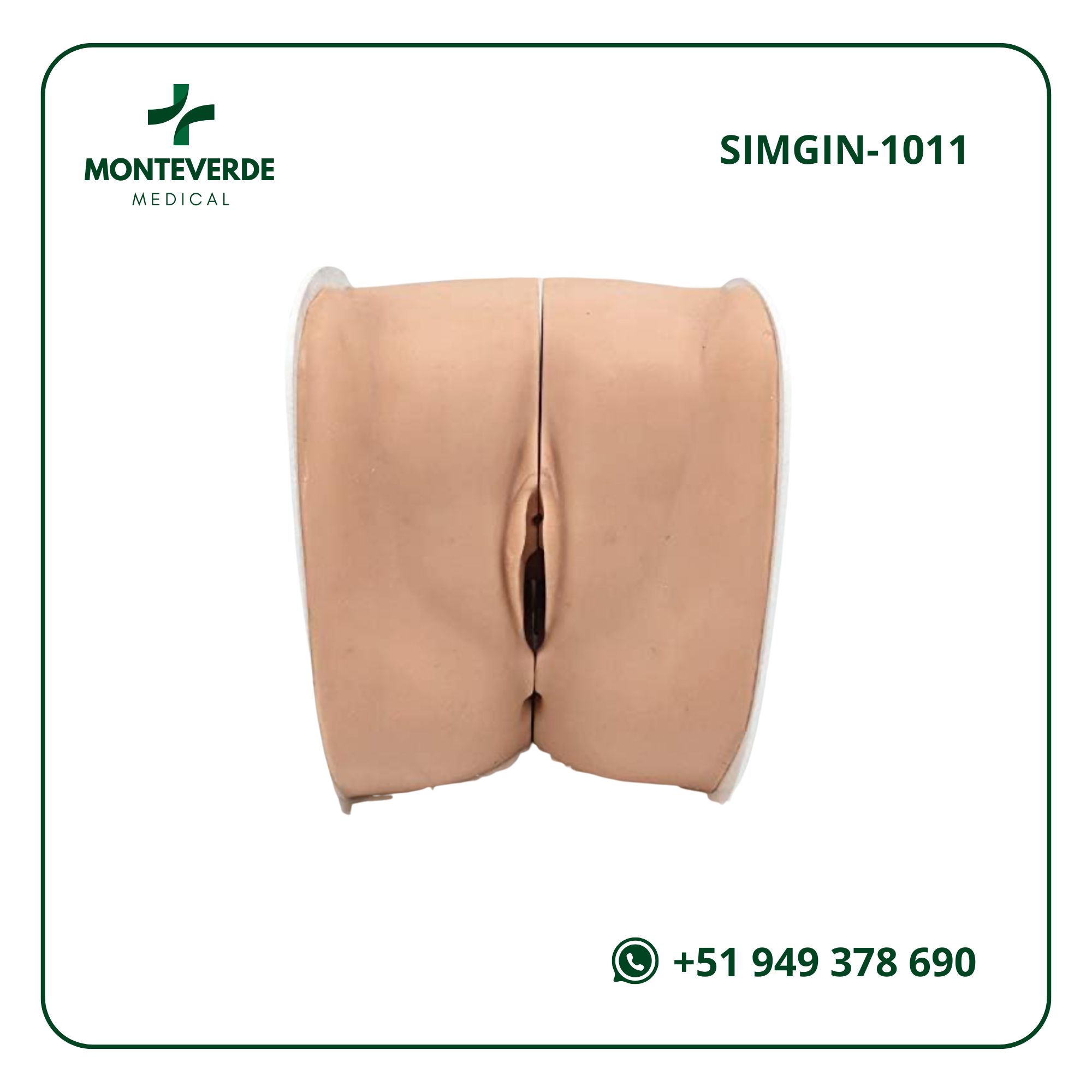 SIMULADOR DE ENSEÑANZA ANTICONCEPTIVA FEMENINO