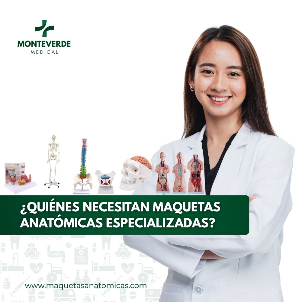 ¿Quiénes necesitan maquetas anatómicas especializadas