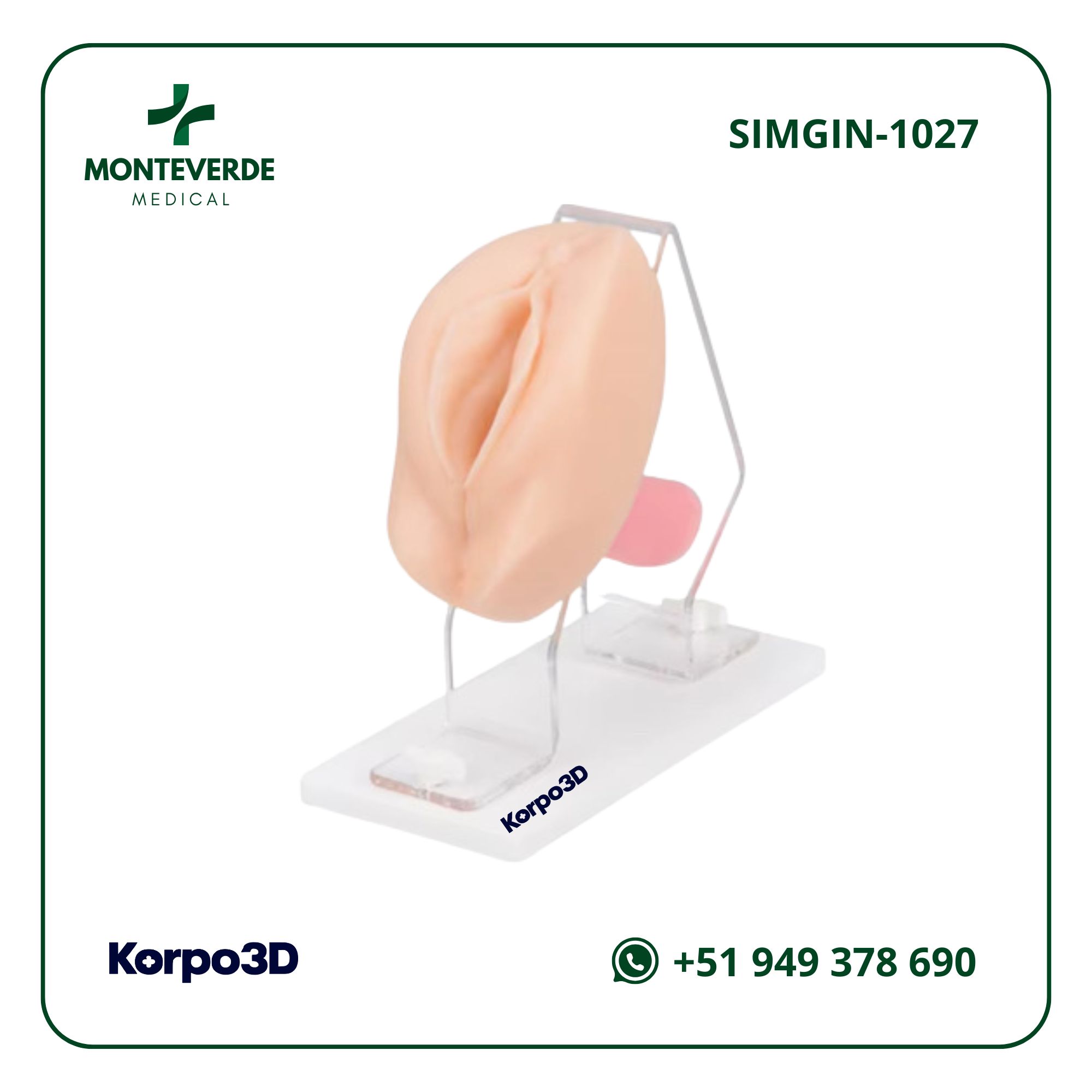 simulador de vagina para entrenamiento de métodos anticonceptivos
